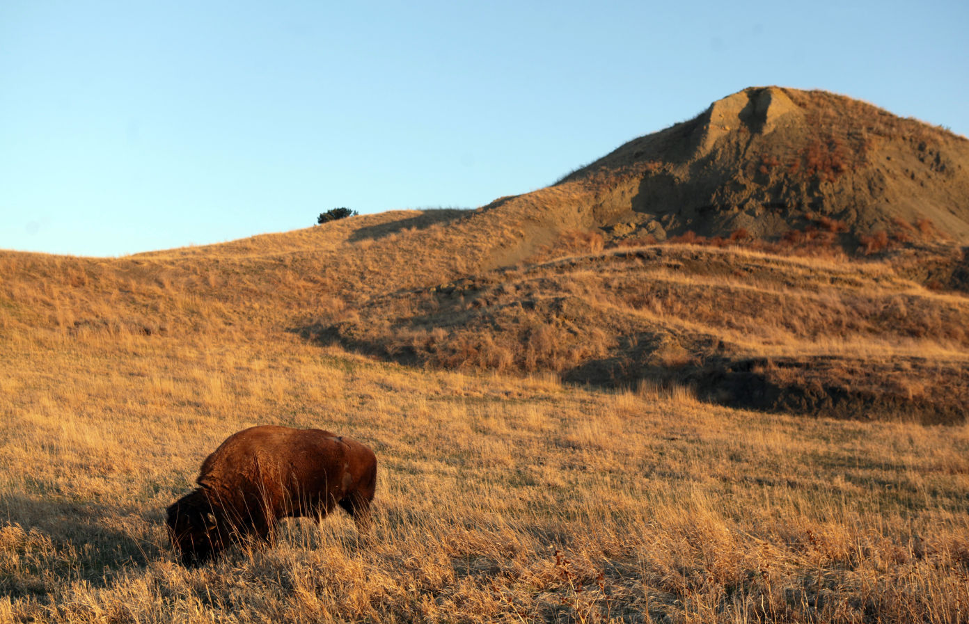 No. 90: Sage Creek
